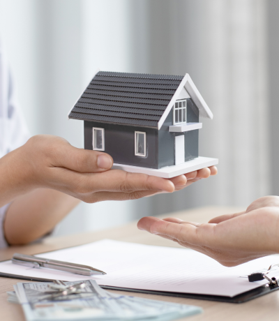 Untitled design (18)